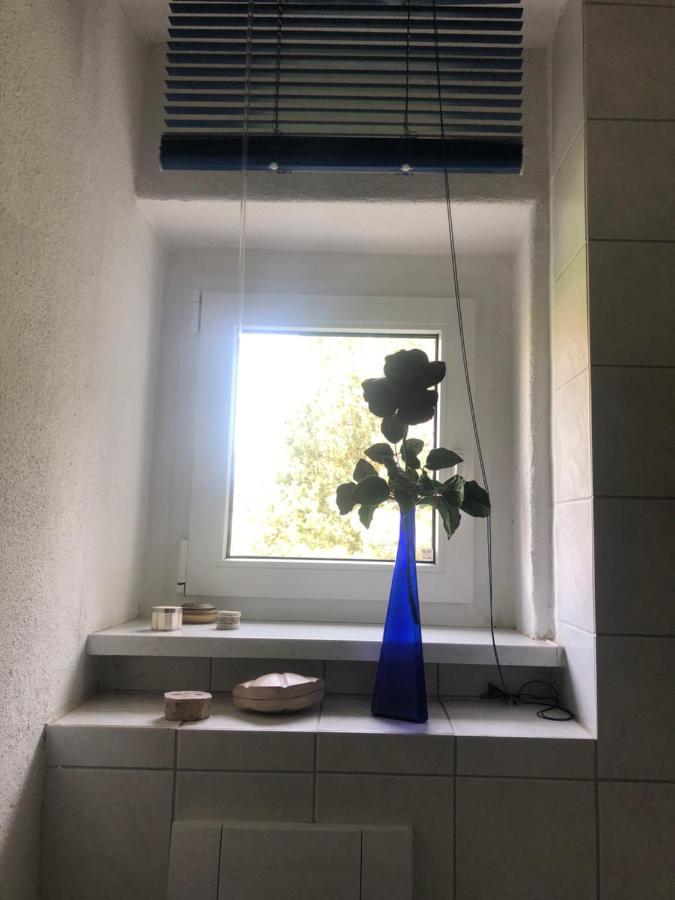 Wohlfuehloase Dresden Nickern Apartment Екстериор снимка