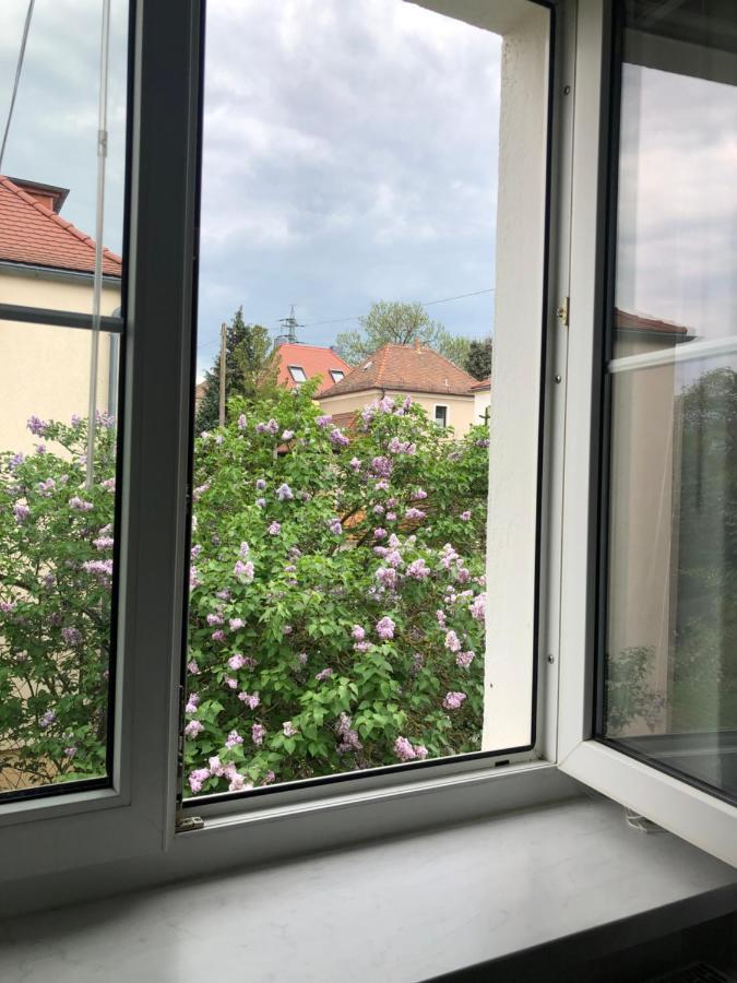 Wohlfuehloase Dresden Nickern Apartment Екстериор снимка